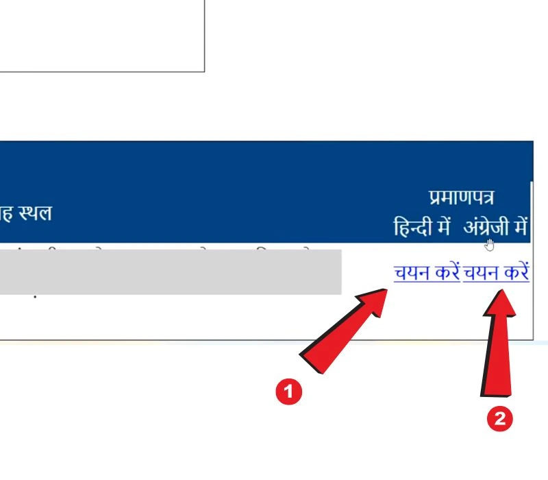 Step showing options to select and download UP Marriage Certificate PDF in Hindi or English language.